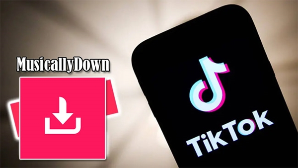 Cara Download Video Tiktok Di MusicallyDown